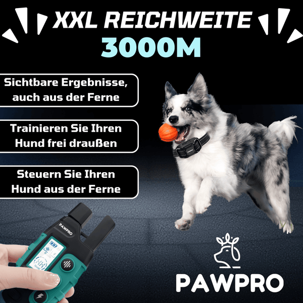 Hunde Erziehungshalsband Gemäß Dem Gesetz Konform - ALPHA 1-Modell