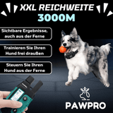 Hunde Erziehungshalsband Gemäß Dem Gesetz Konform - ALPHA 1-Modell