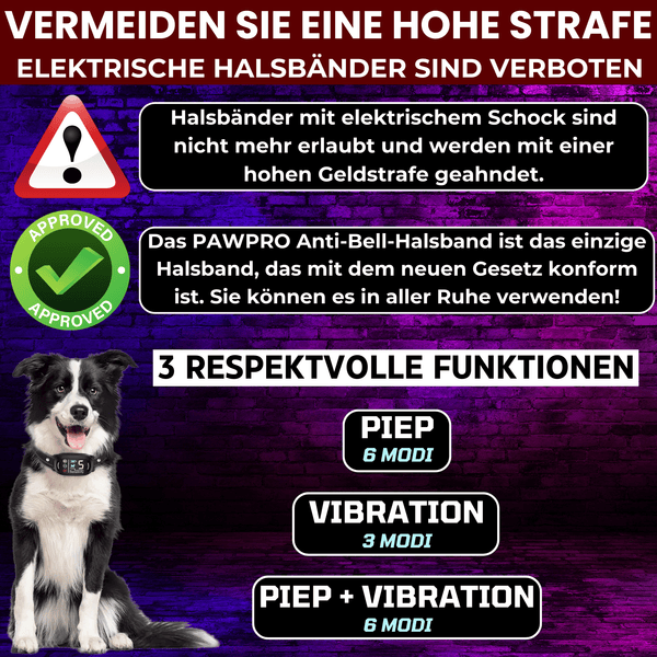 ANTI-BELL-HALSBAND ENTSPRICHT NEUEM GESETZ - ALPHA2-MODELL
