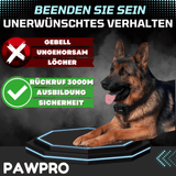 Hunde Erziehungshalsband Gemäß Dem Gesetz Konform - ALPHA 1-Modell