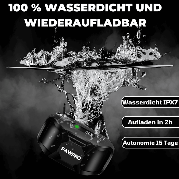 Hunde Erziehungshalsband Gemäß Dem Gesetz Konform - ALPHA 1-Modell