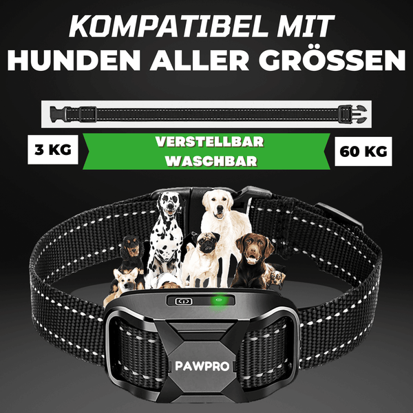 Hunde Erziehungshalsband Gemäß Dem Gesetz Konform - ALPHA 1-Modell