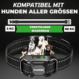 Hunde Erziehungshalsband Gemäß Dem Gesetz Konform - ALPHA 1-Modell