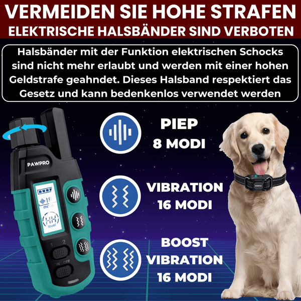 Hunde Erziehungshalsband Gemäß Dem Gesetz Konform - ALPHA 1-Modell